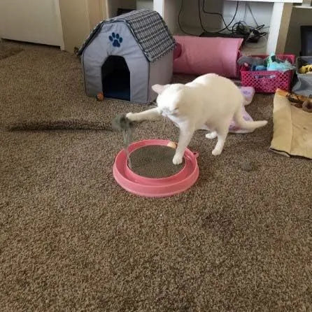 Blue interactive cat scratcher with ball track and replaceable corrugated cardboard scratching pad