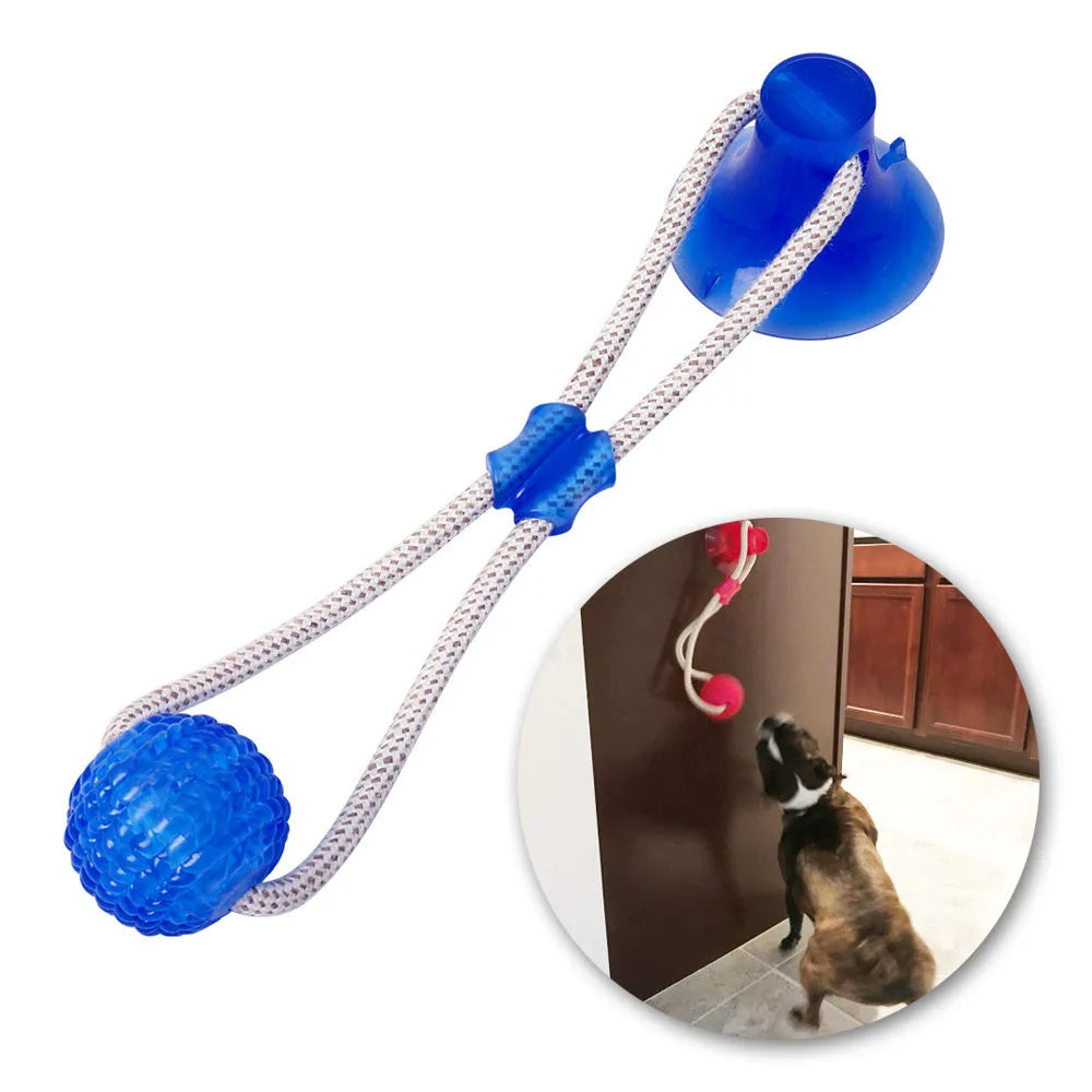 Pet dog rubber sucker molar toy in five colours blue green orange purple red on a light background