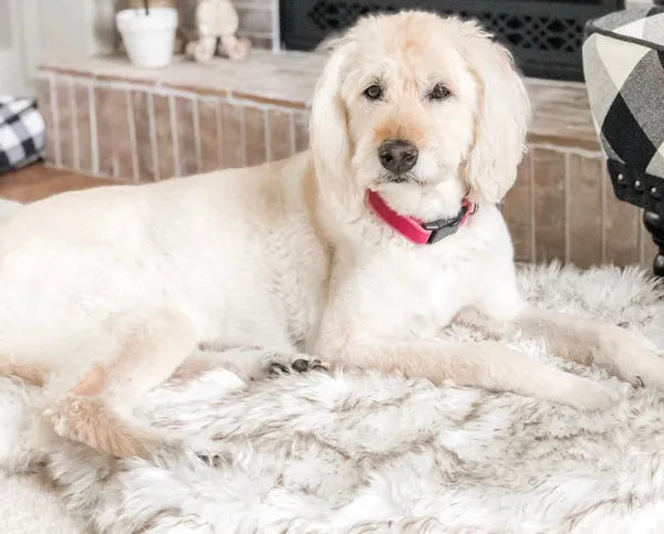 Beige plush pet dog mat for large dogs up to 45kg on a wooden floor