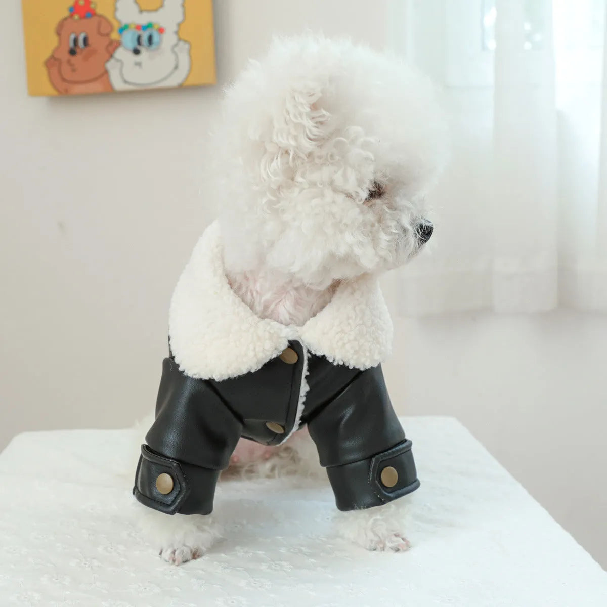 Fleece lined padded dog coat in black colour showing chest measurement and length dimensions