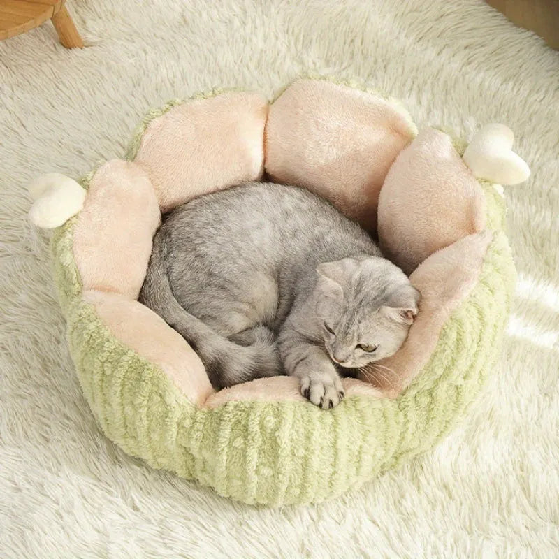 Cactus-themed soft cat litter kennel in purple or green colours showing two size options