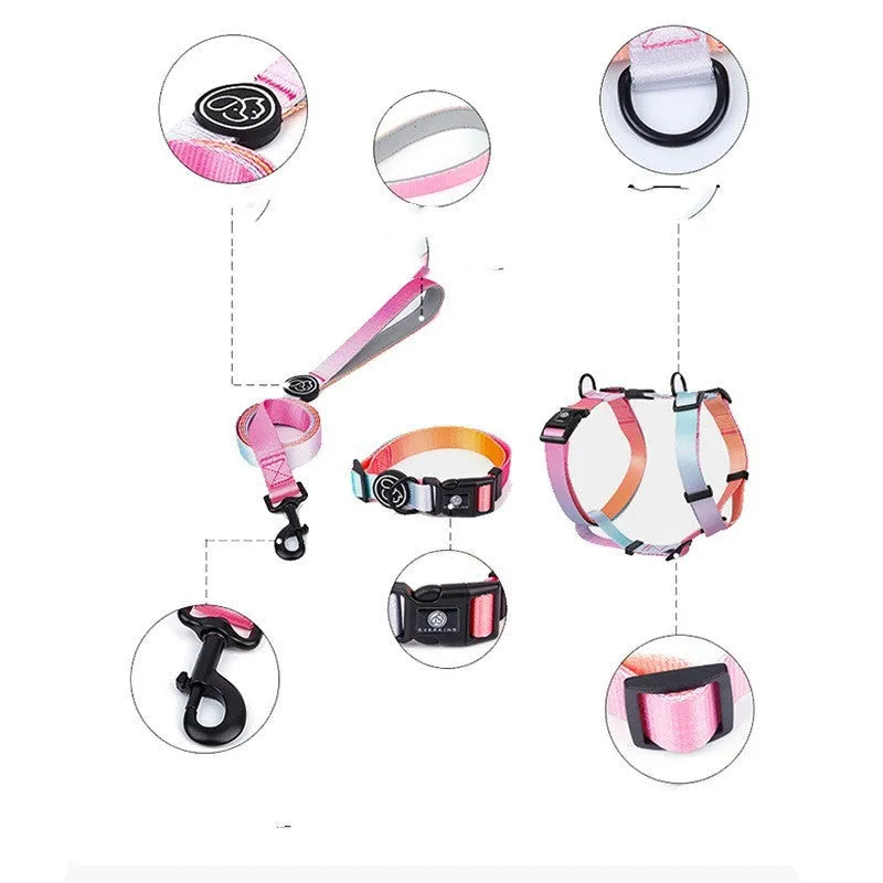 Gradient colour polyester dog chest strap harness in Purple Charm style with white background