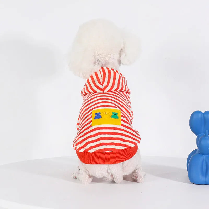 Orange cotton hooded sweater on a dog, showing Korean style design and hood detail.
