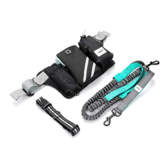 Black outdoor dog walking set with waist bag and adjustable leash on nylon material