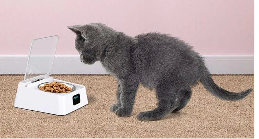 Pet 5G Bowl automatic pet feeder in white on a counter, 210x170x92mm compact size