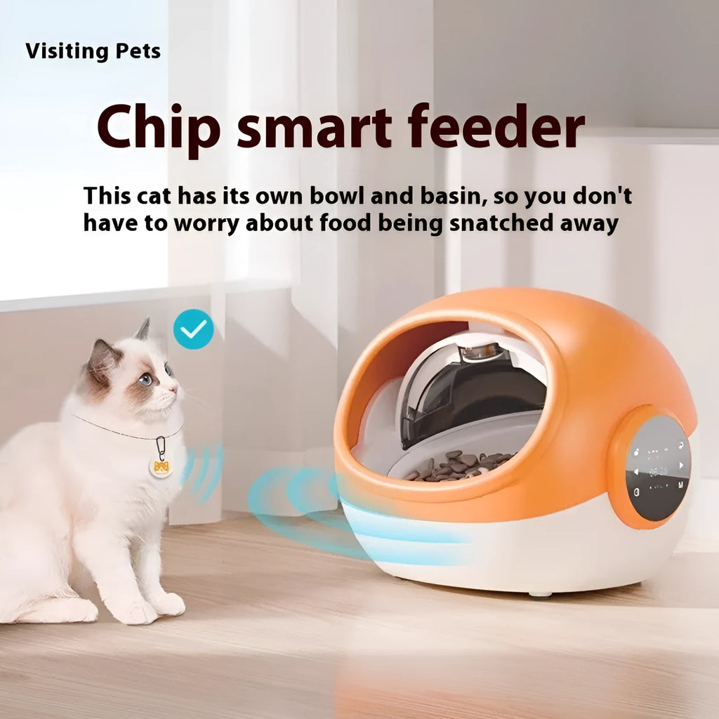 Pet anti-grab chip identification automatic cat feeder with plastic body and UK power supply