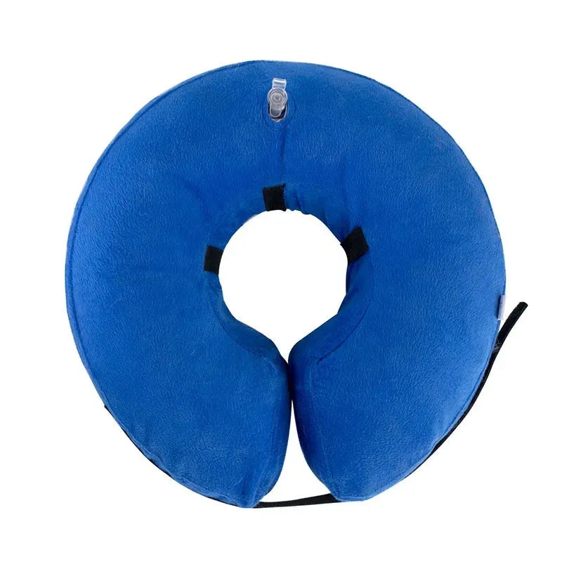Blue soft inflatable dog recovery collar fastened around a dog's neck as an alternative to a plastic cone.
