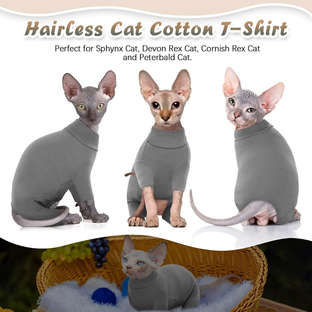 A grey Sphynx cat wearing a soft beige turtleneck sweater with leg openings.