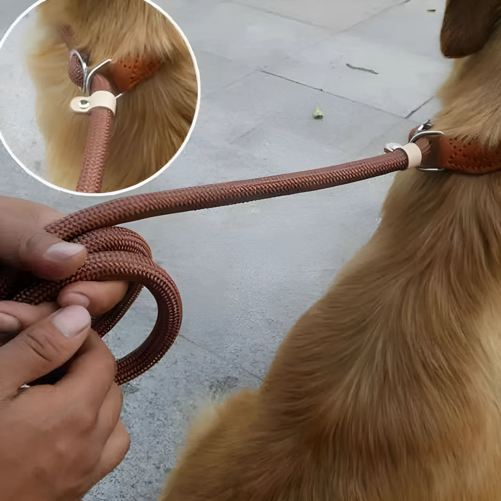 Brown nylon dog leash with a padded hand-holding rope and P chain clip, shown at full 2.1-metre length.