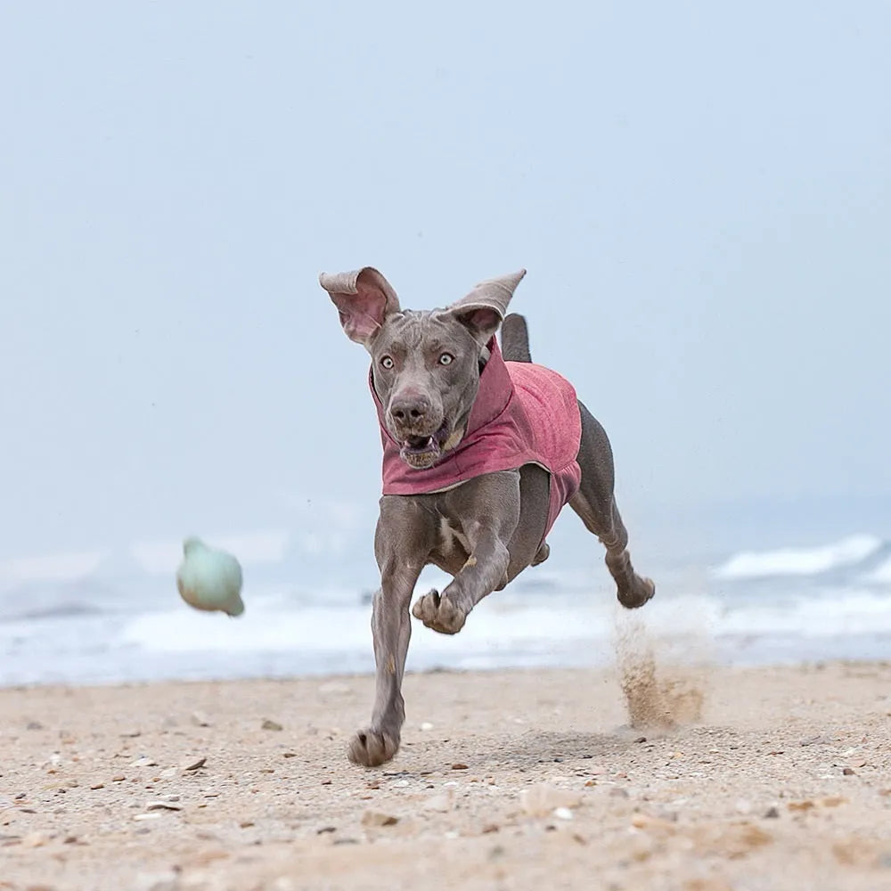 Cold-proof polyester dog vest in rose red, available in sizes S to XXL.