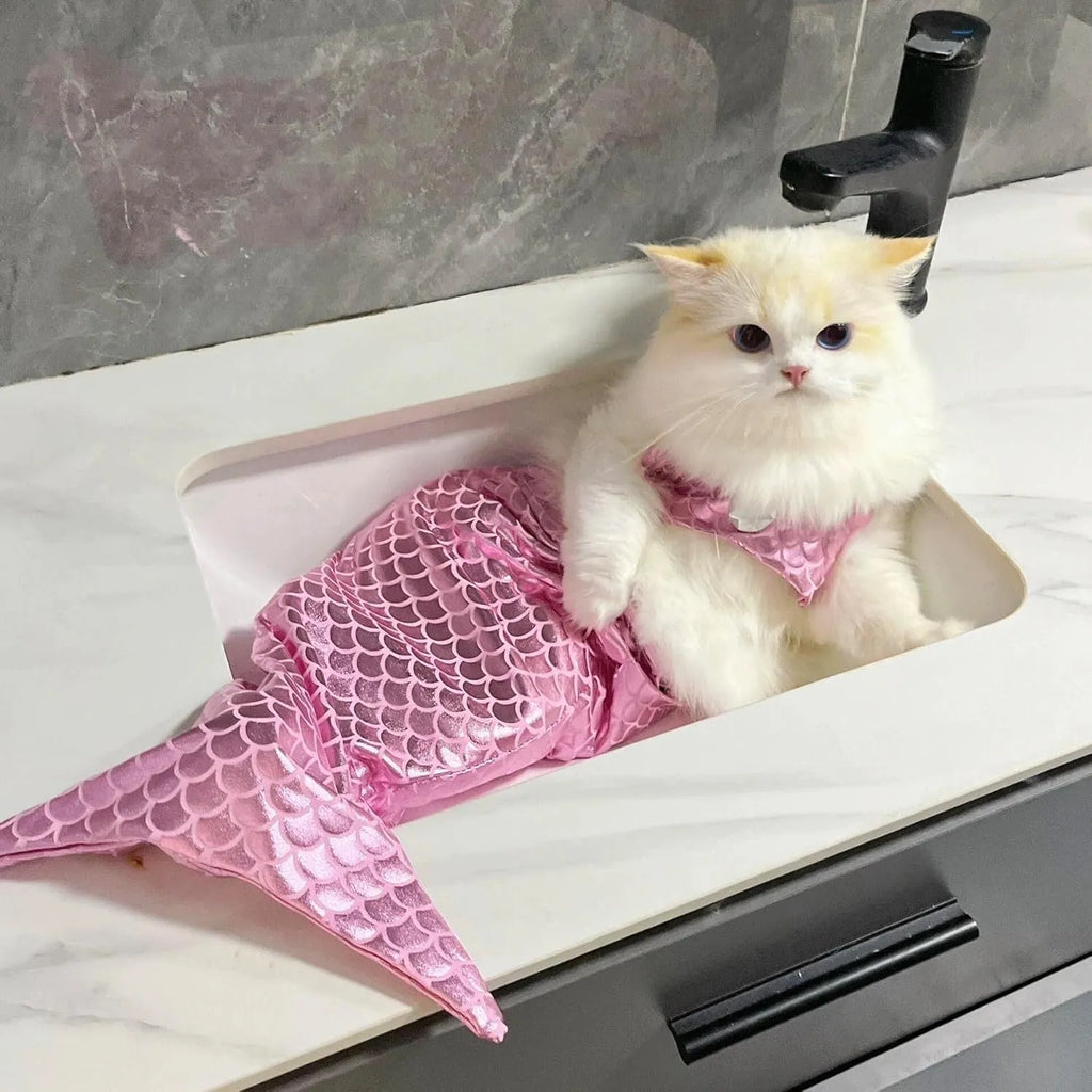 Blue pet mermaid costume with scale pattern on a cat, showing elastic chest strap and long fishtail.