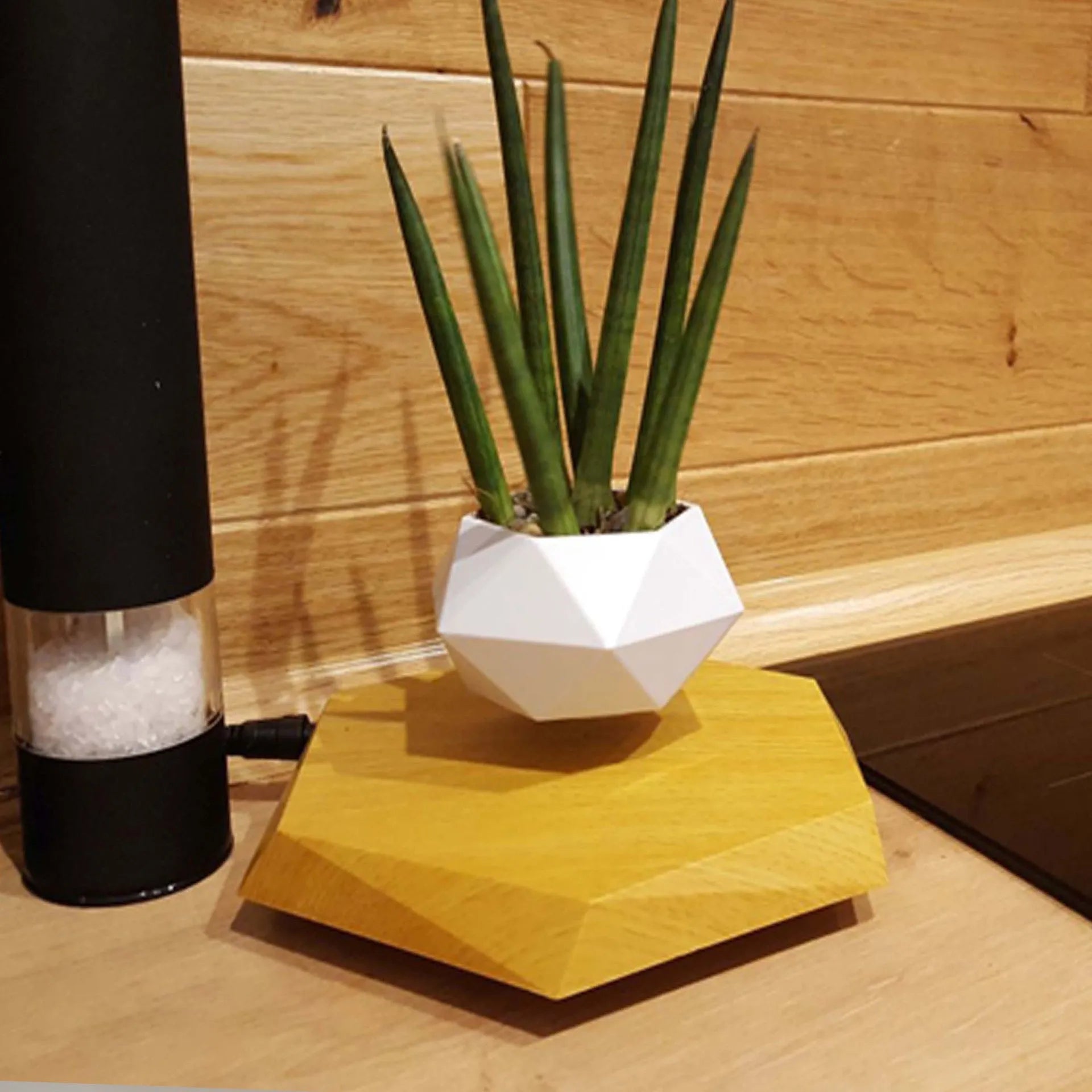 Hexagonal wood grain magnetic levitating flower pot floating above a circular black base on a desk.