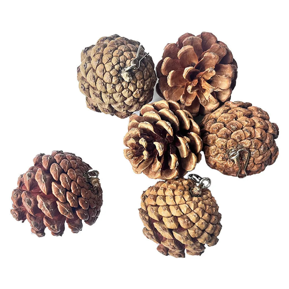 Natural pine cone parrot bite toy with metal stud and buckle, 5-6cm size, for hanging in bird cage