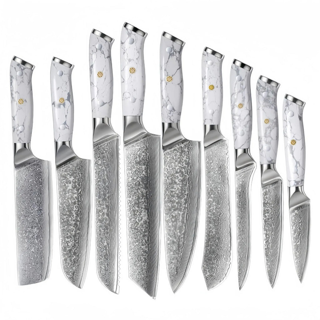 Damascus VG10 steel combined chef's knife with 21cm blade for kitchen use