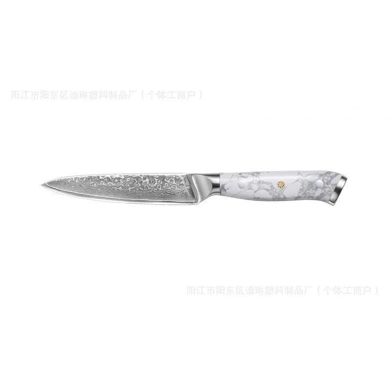 Damascus VG10 steel combined chef's knife with 21cm blade for kitchen use