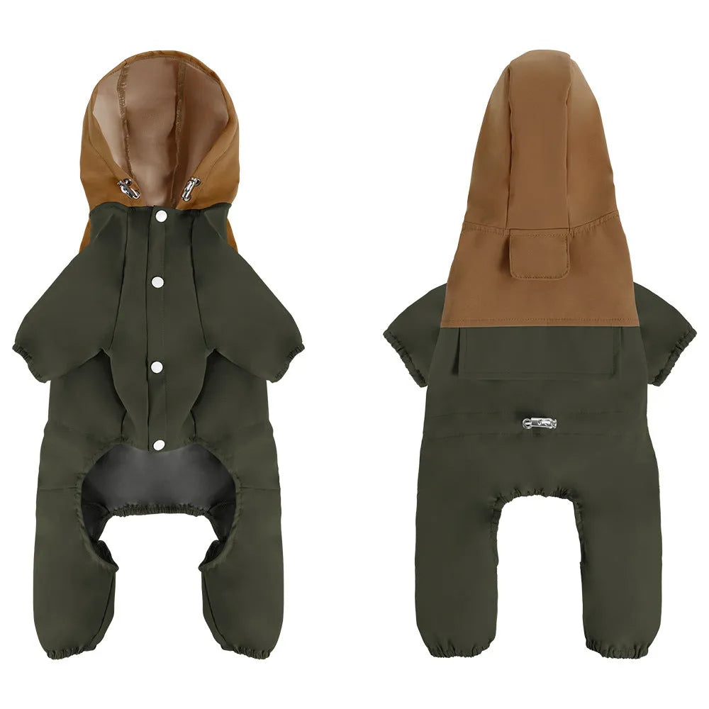 British style waterproof dog jacket in Army Green colour on a small dog