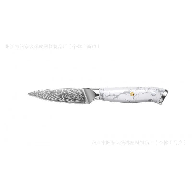 Damascus VG10 steel combined chef's knife with 21cm blade for kitchen use