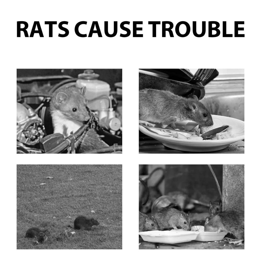 60ml bottle of natural rat repellent spray with botanical oils for car and home use.