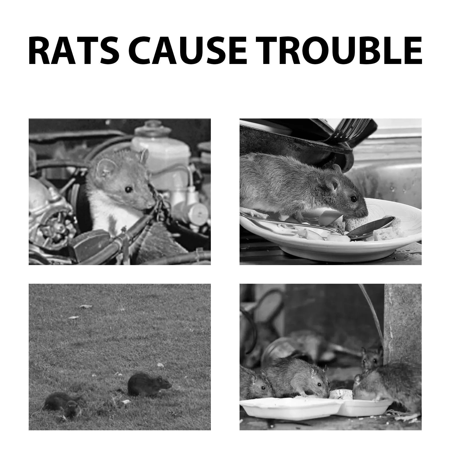 60ml bottle of natural rat repellent spray with botanical oils for car and home use.