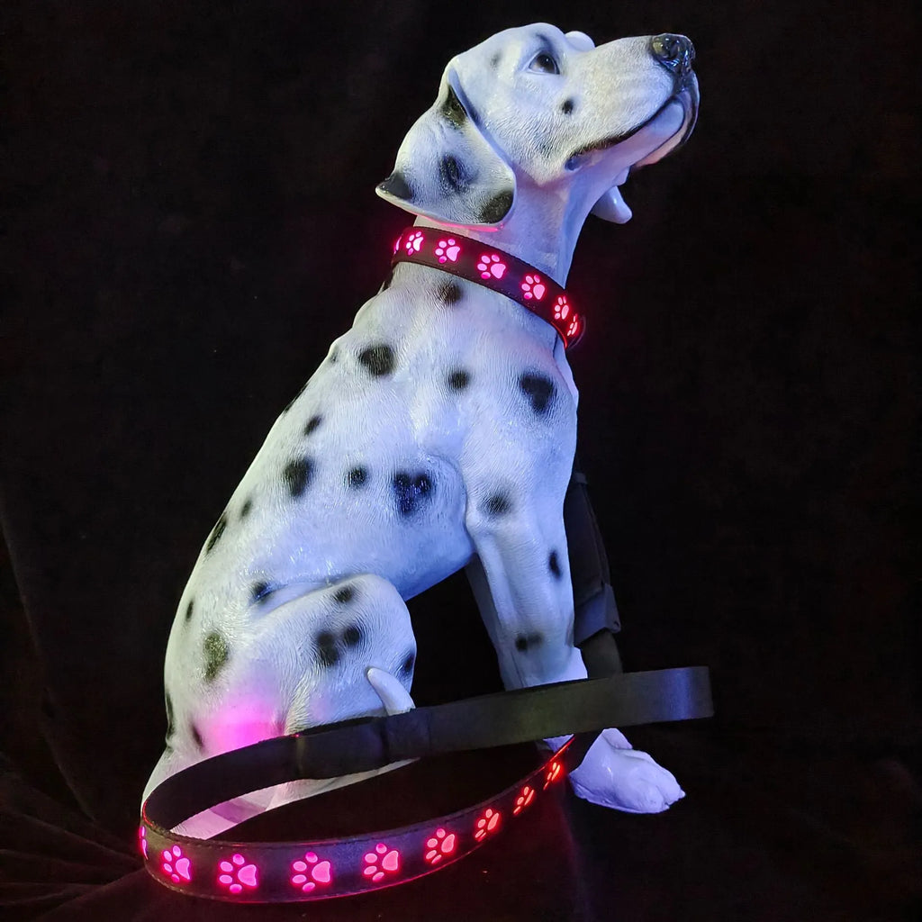 LED dog collar showing seven colour changing modes including dog paw print pattern