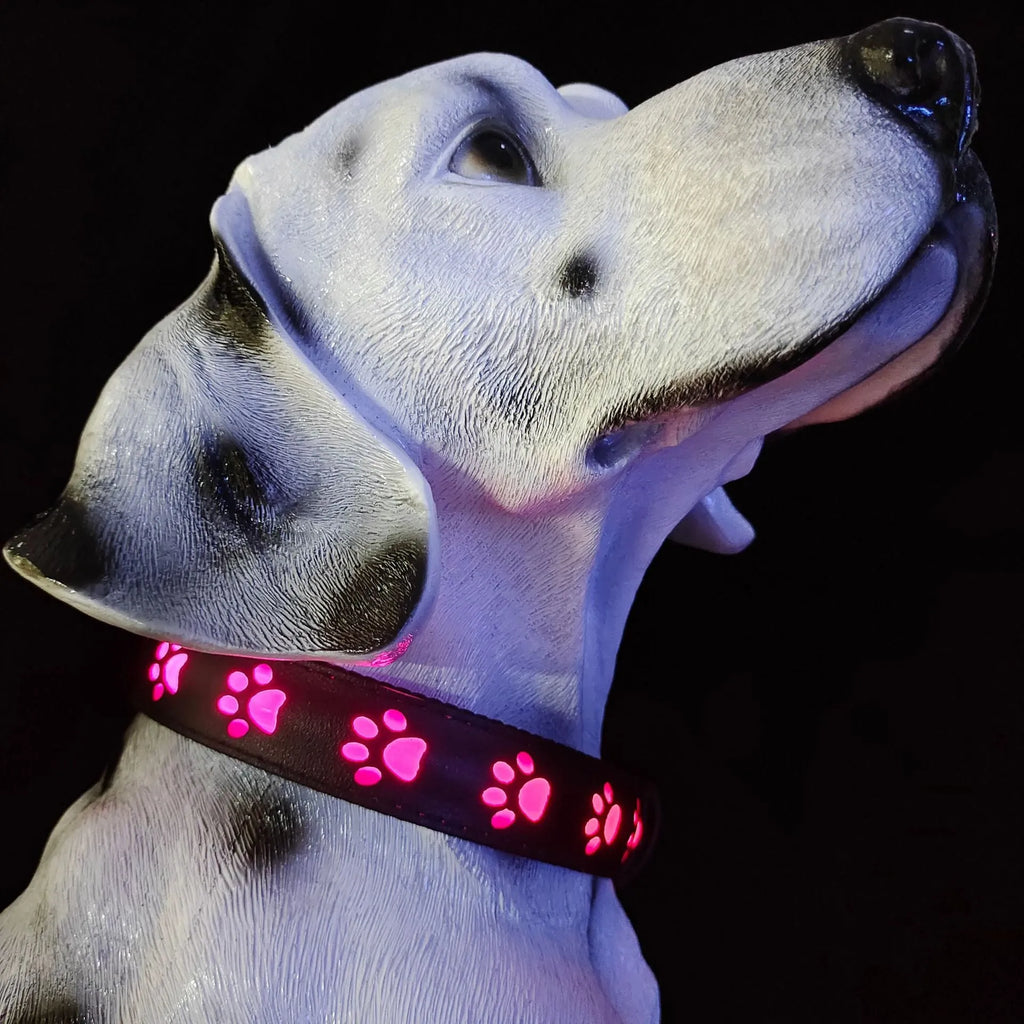 LED dog collar showing seven colour changing modes including dog paw print pattern