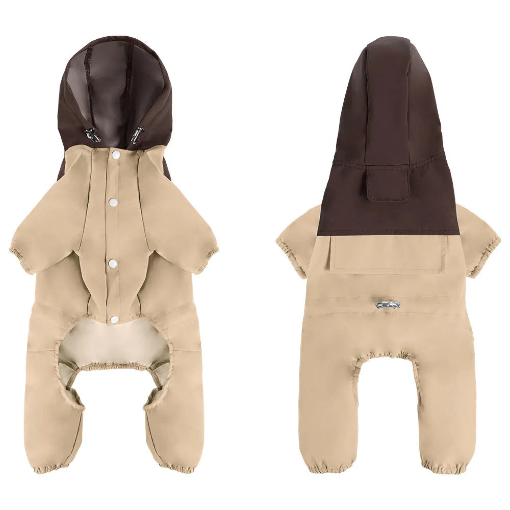 British style waterproof dog jacket in Army Green colour on a small dog