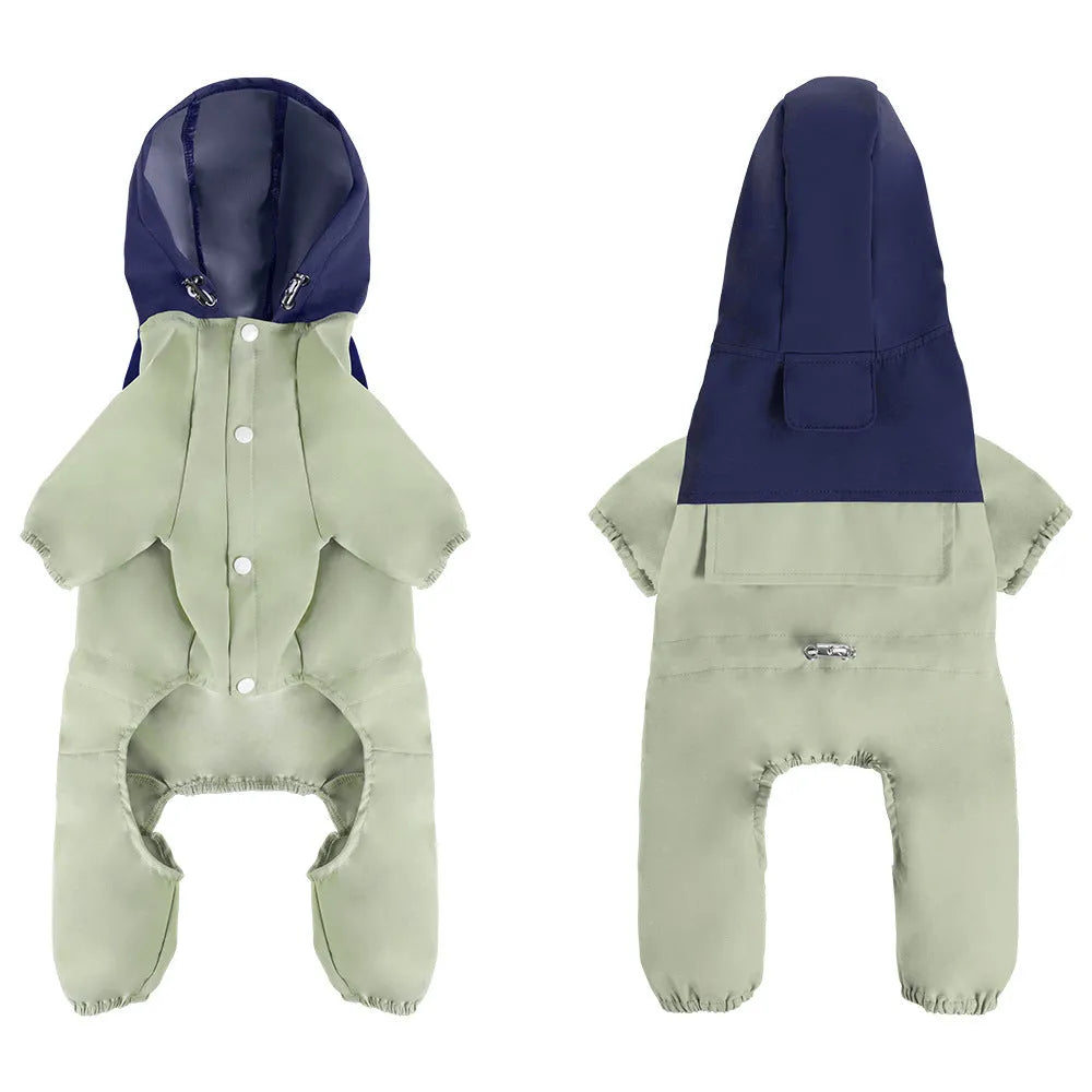 British style waterproof dog jacket in Army Green colour on a small dog