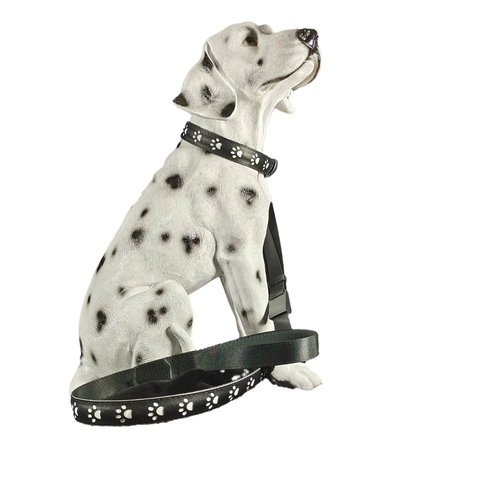 LED dog collar showing seven colour changing modes including dog paw print pattern