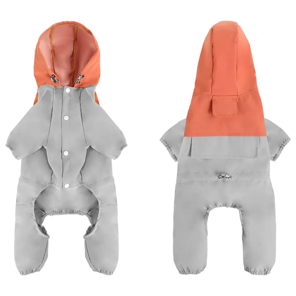 British style waterproof dog jacket in Army Green colour on a small dog