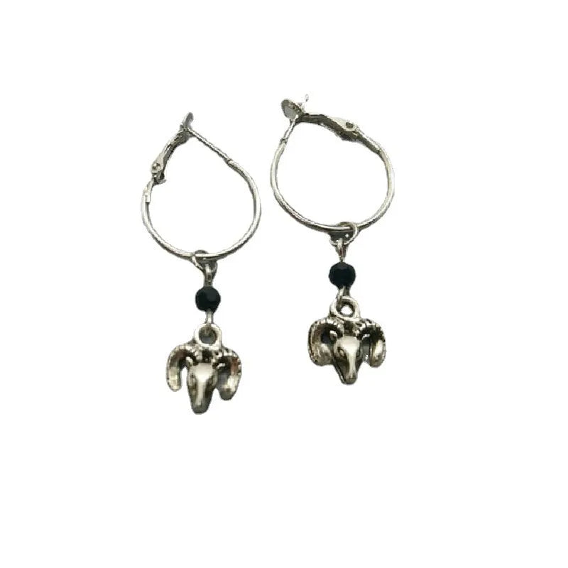 Silver coloured alloy round ring earrings for women on a white background.