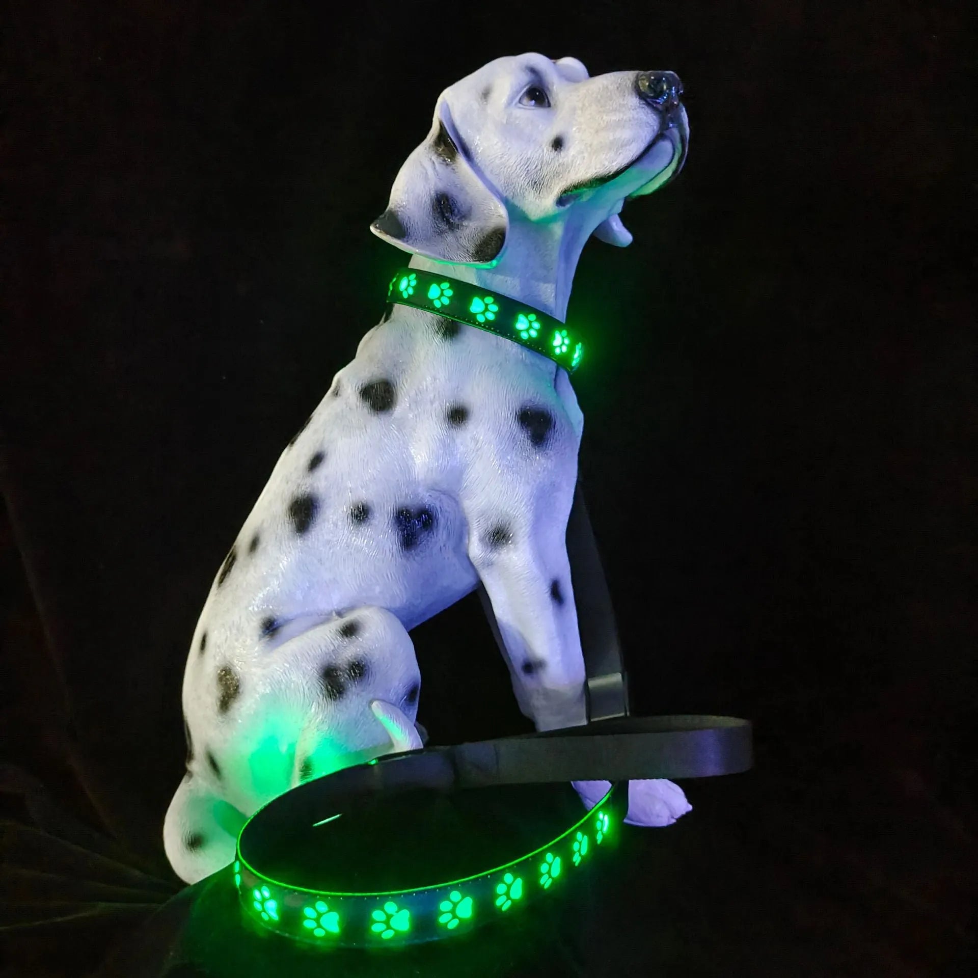 LED dog collar showing seven colour changing modes including dog paw print pattern