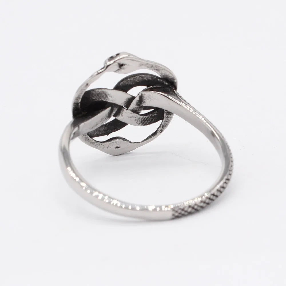 Retro double snake titanium steel ring in steel colour showing detailed snake design