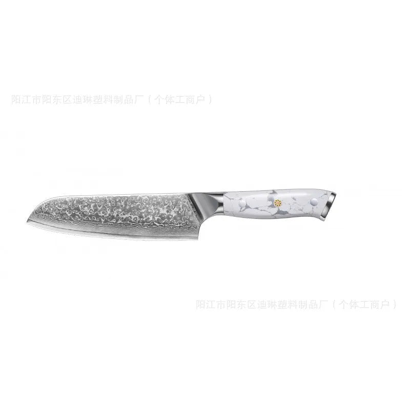 Damascus VG10 steel combined chef's knife with 21cm blade for kitchen use