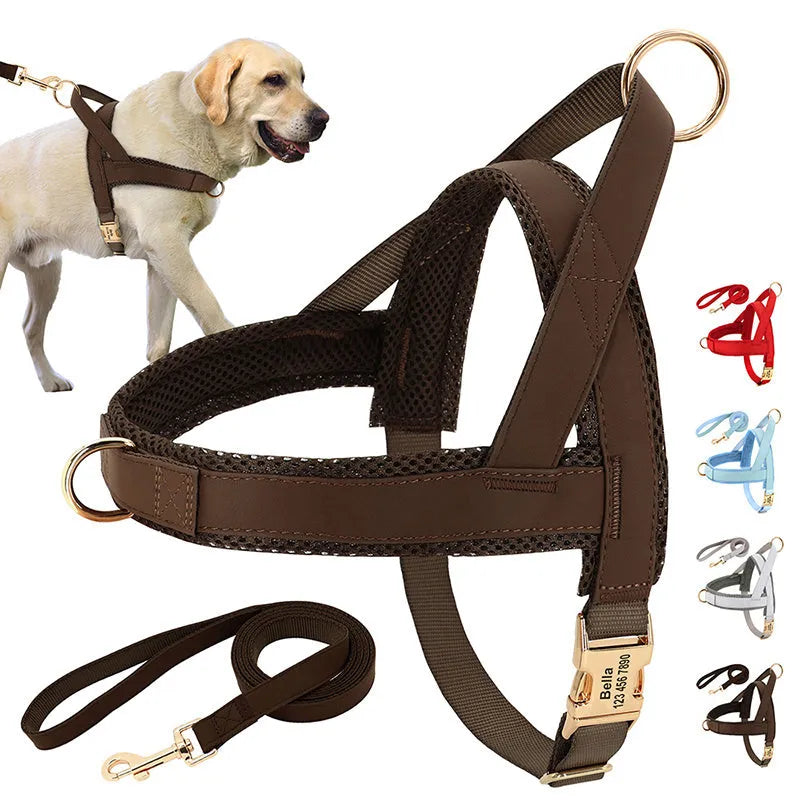 Large dog vest chest harness with lettering, adjustable straps, black colour, side view on dog