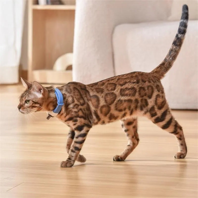 Pet cat toy laser collar in ABS material black colour simple style attached to collar