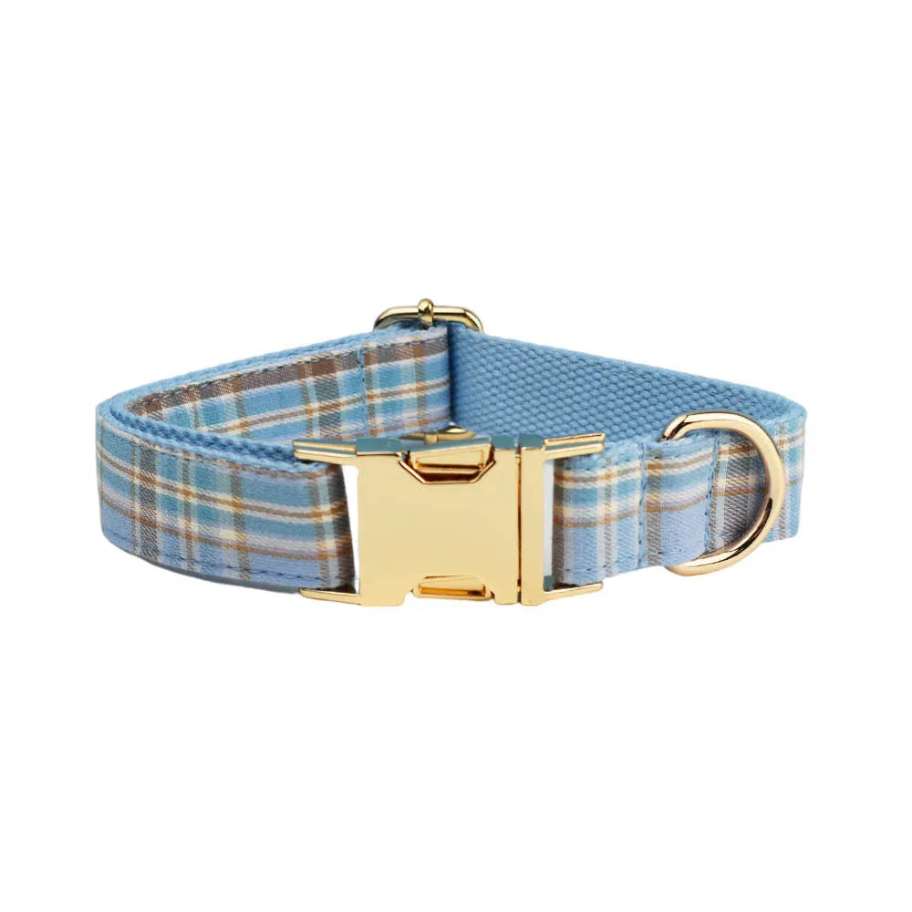 Sky blue grid pattern cloth dog collar and leash set with matching bow and vest on a dog