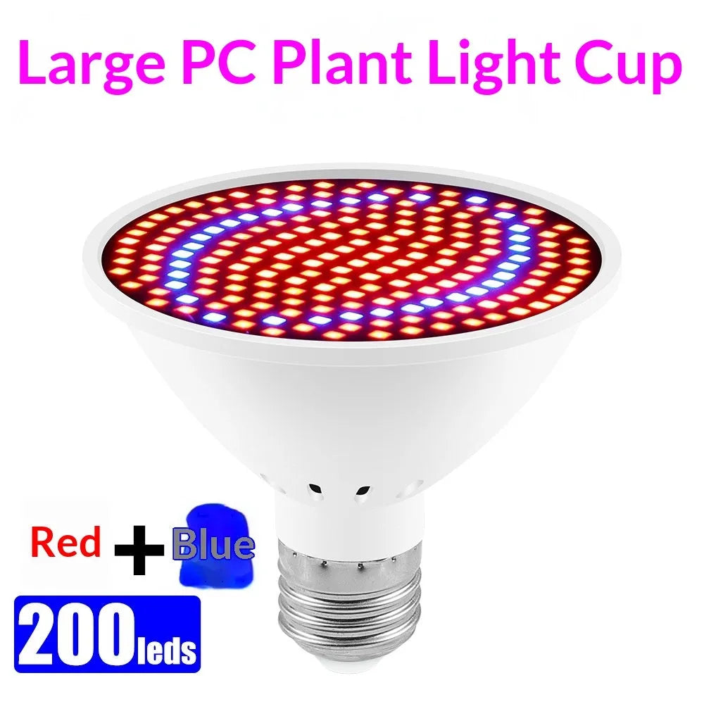 Red-blue spectrum plant growth fill light with 200 LED beads in PC shell