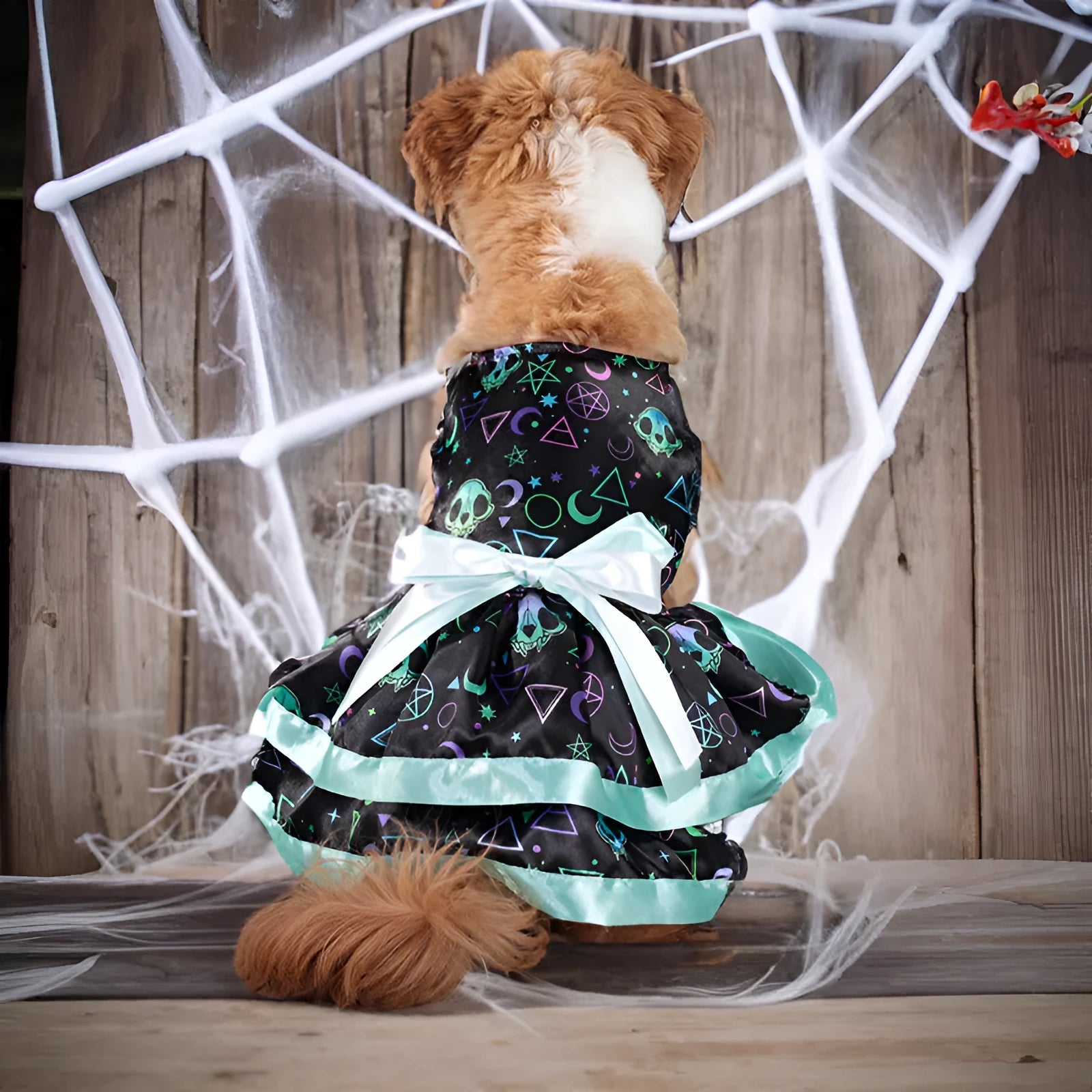 Colourful double-layer Halloween dog skirt with pumpkin print, shown in size M.