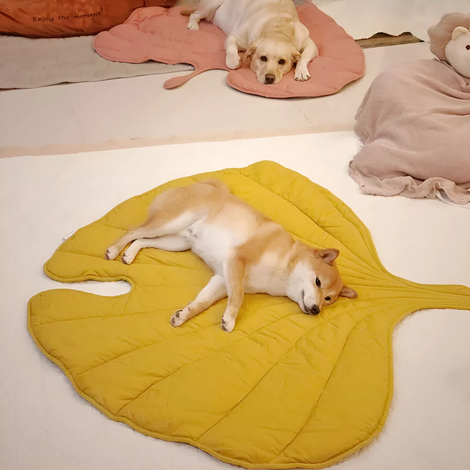 Four Seasons pet mat for dogs, cotton surface, polyester fibre filling, Elm Green colour, 107x42x56 cm