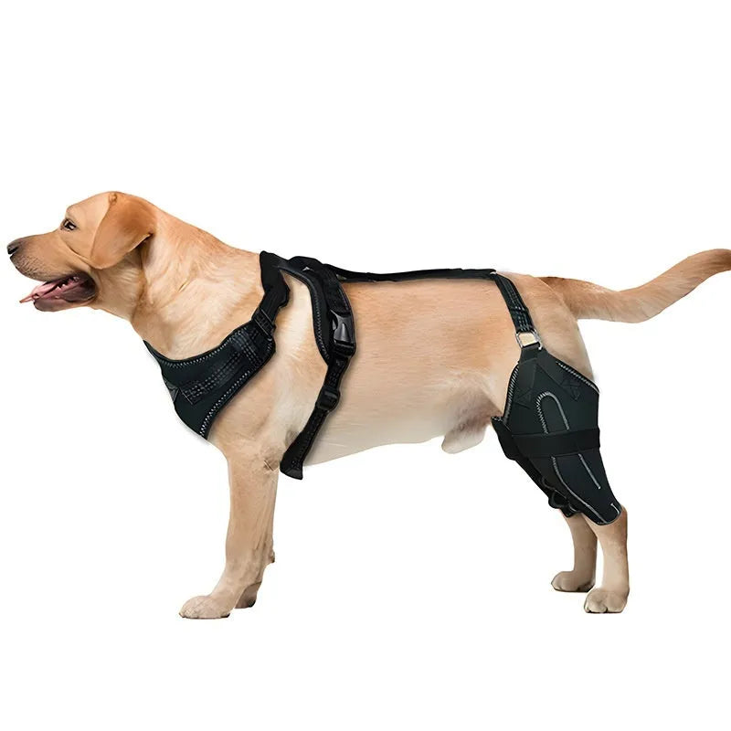 Black dog thigh protective sleeve with adjustable metal support for postoperative leg protection