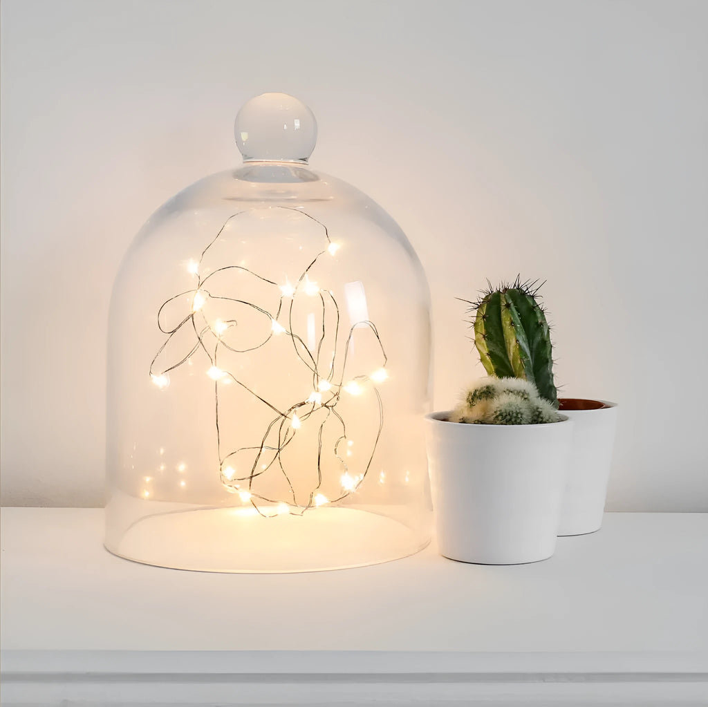 LED copper wire fairy lights with battery box showing flexible string arrangement