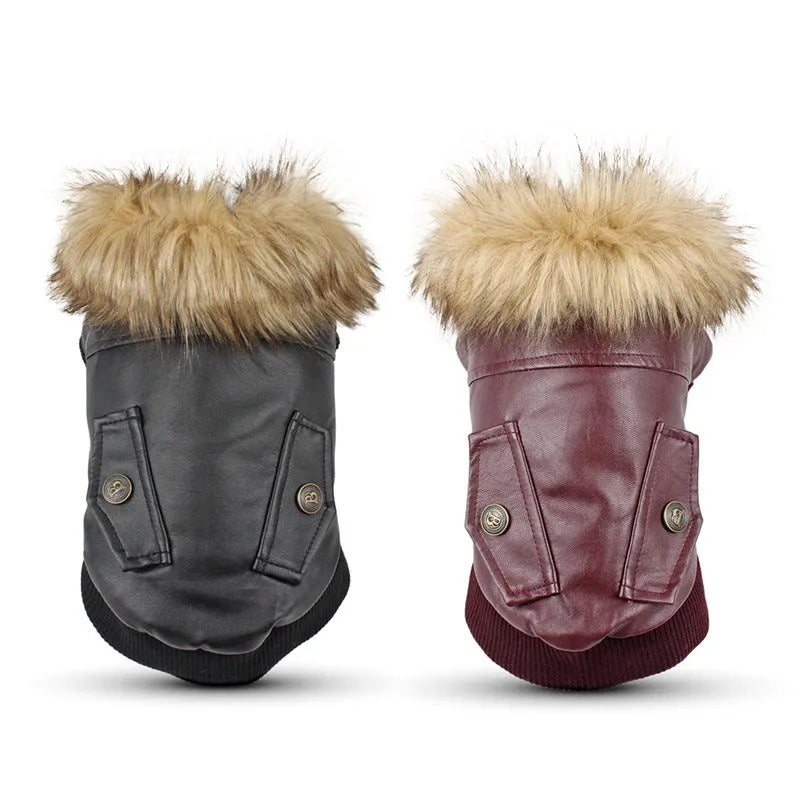 British style leather dog coat with fur collar in black or wine red for autumn and winter