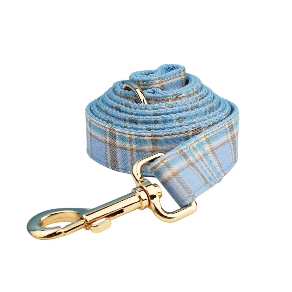 Sky blue grid pattern cloth dog collar and leash set with matching bow and vest on a dog