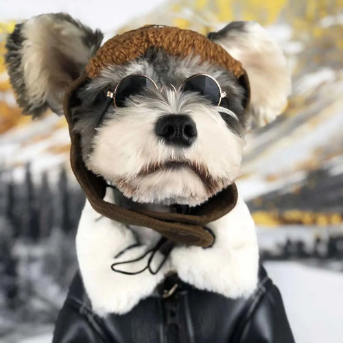 Black leather dog jacket shown on a medium-sized dog for autumn and winter wear.