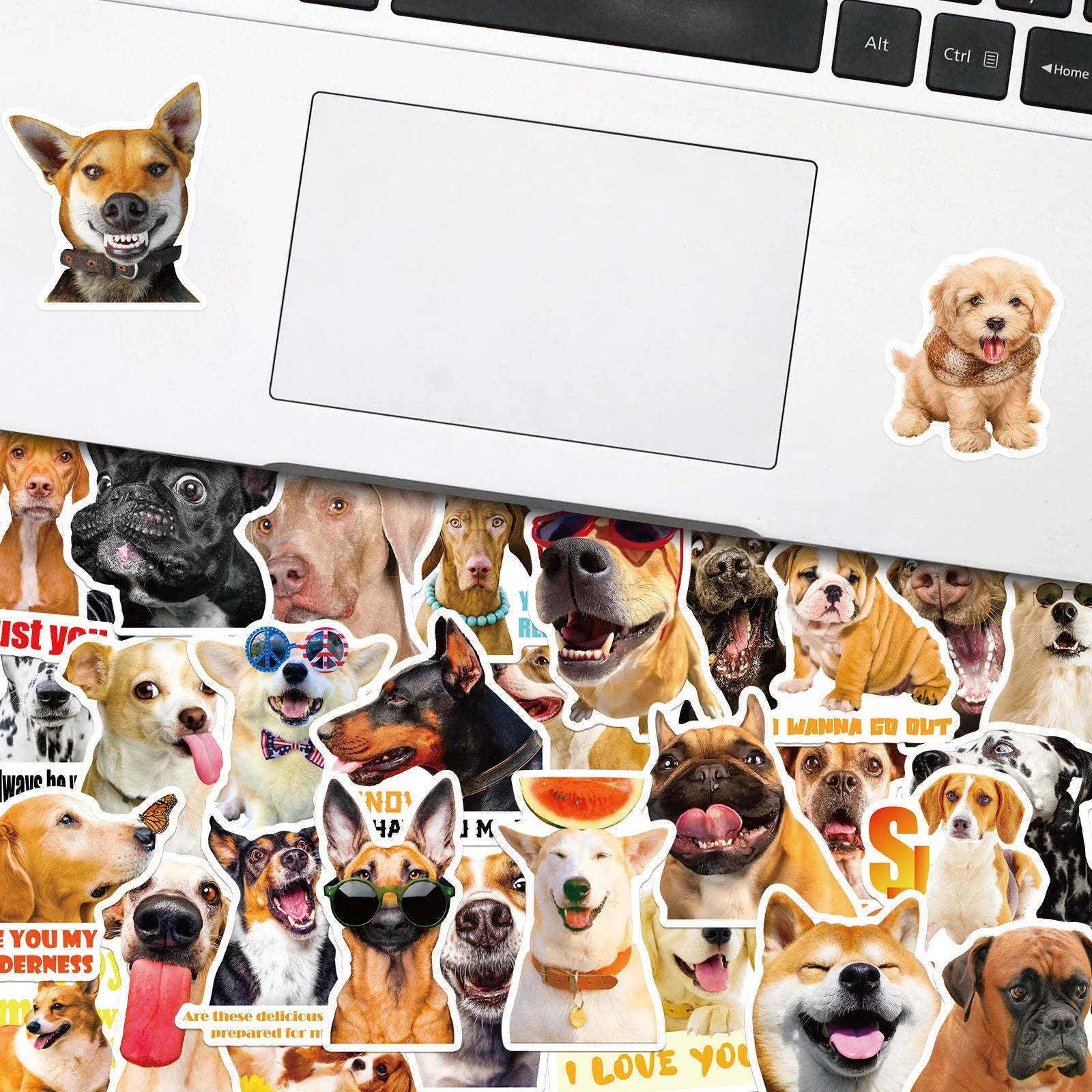 Pack of 100 realistic dog facial expression stickers in Nordic style for craft projects