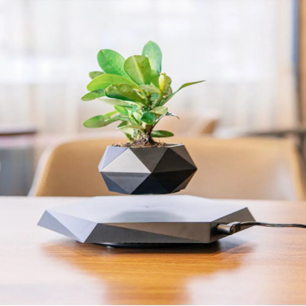 Hexagonal wood grain magnetic levitating flower pot floating above a circular black base on a desk.