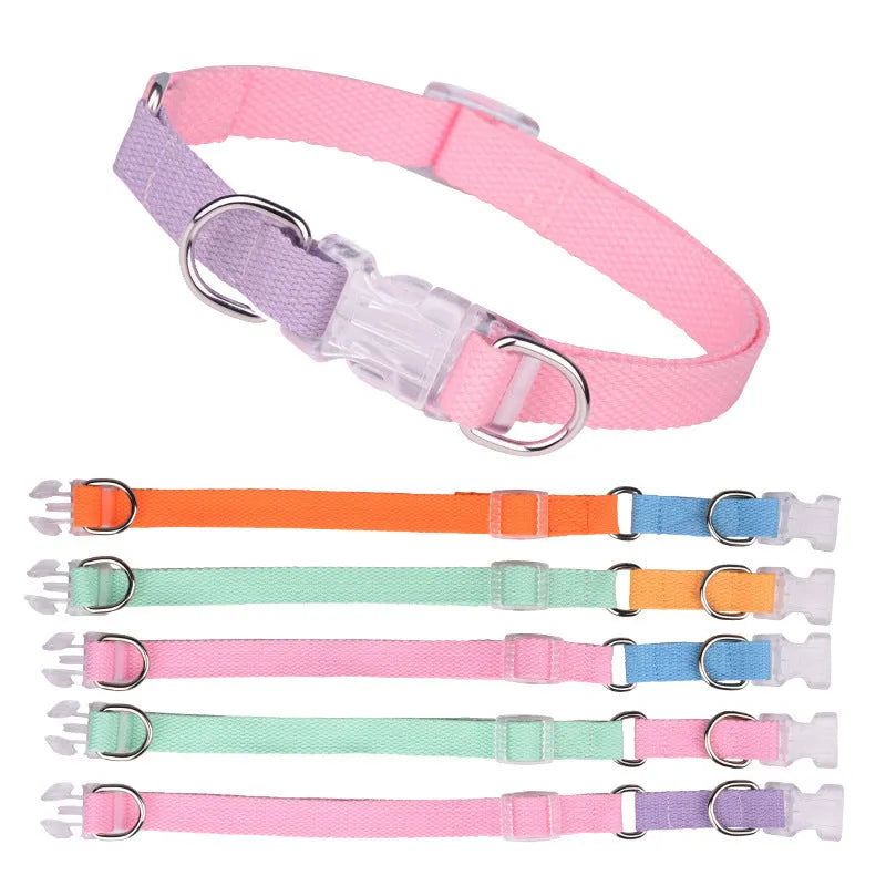 Polyester ribbon dog collar and leash set with adjustable collar and chest strap in five colour options