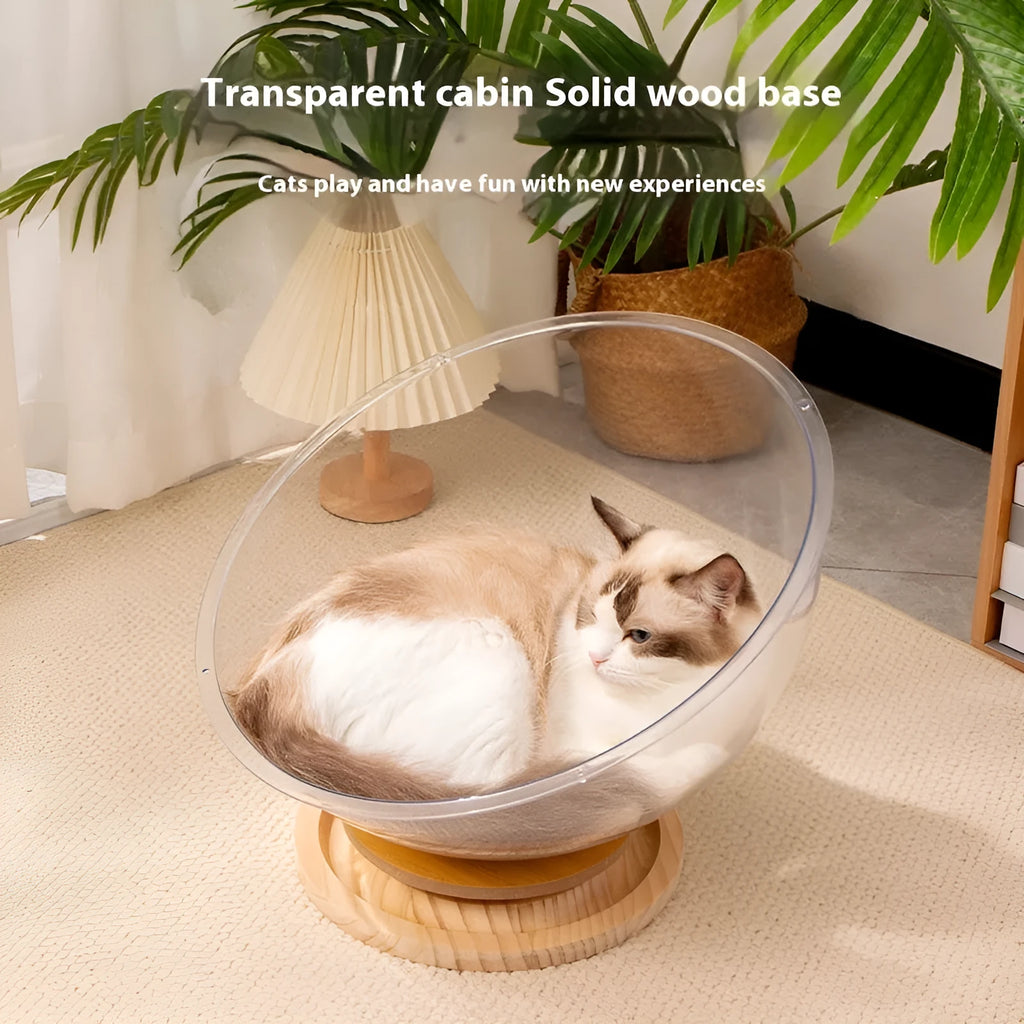 Transparent acrylic space capsule-shaped cat bed on a turntable, showing large size option.