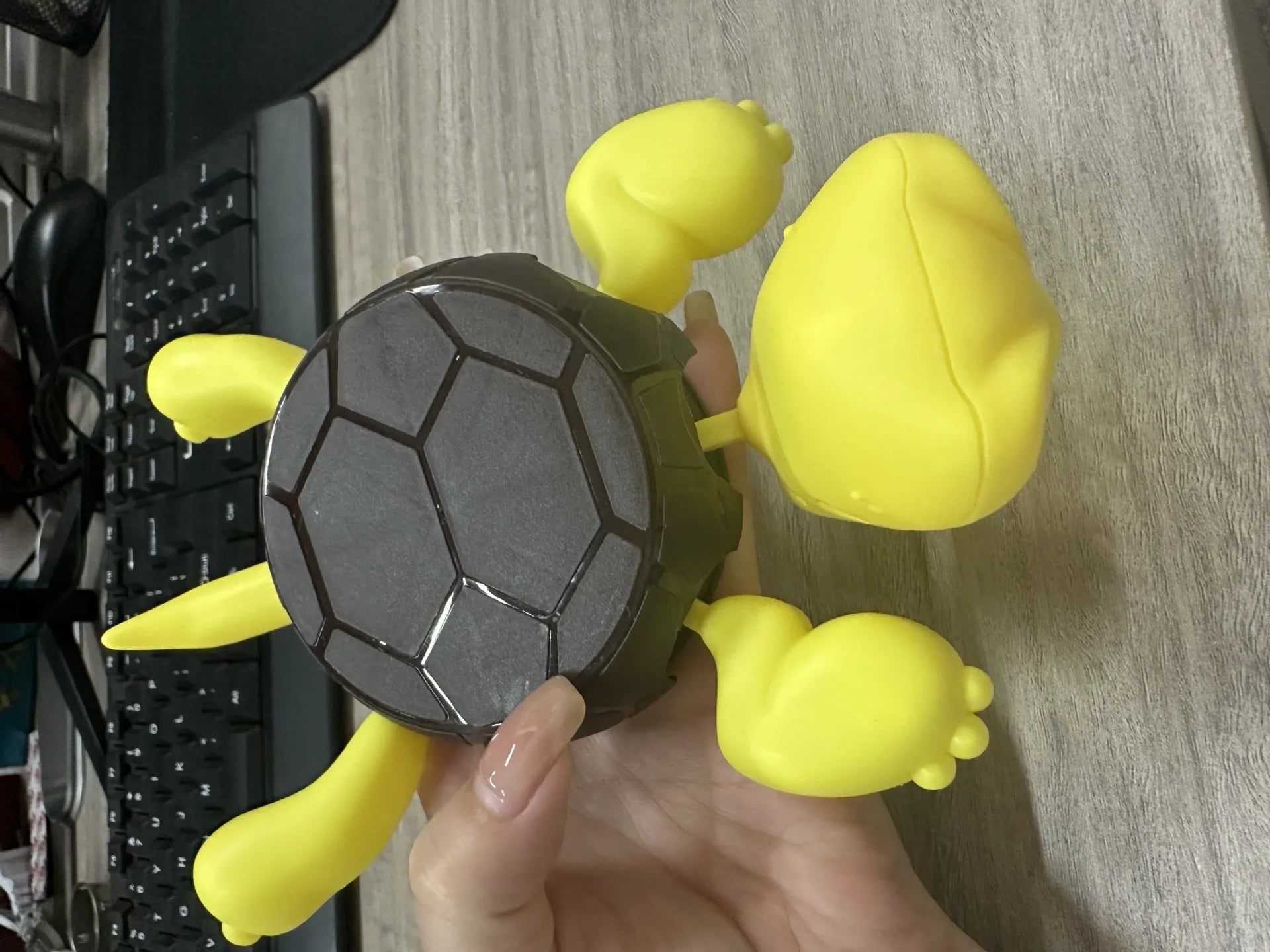 Creative turtle-shaped ABS plastic coaster in light green colour on a table
