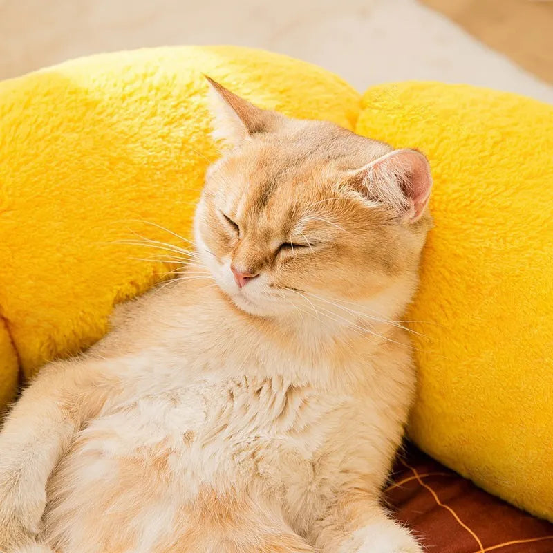 Soft PV velvet cat nest cushion mat in green dinosaur pattern, shown in M size.